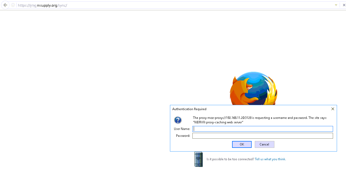 Router or Proxy error message