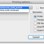 build_print_options.png